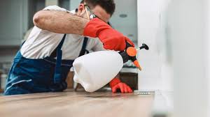 Best Real Estate Pest Inspections  in Airy Heights, WA